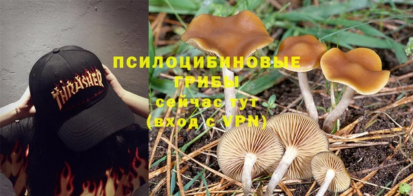 амф Магас